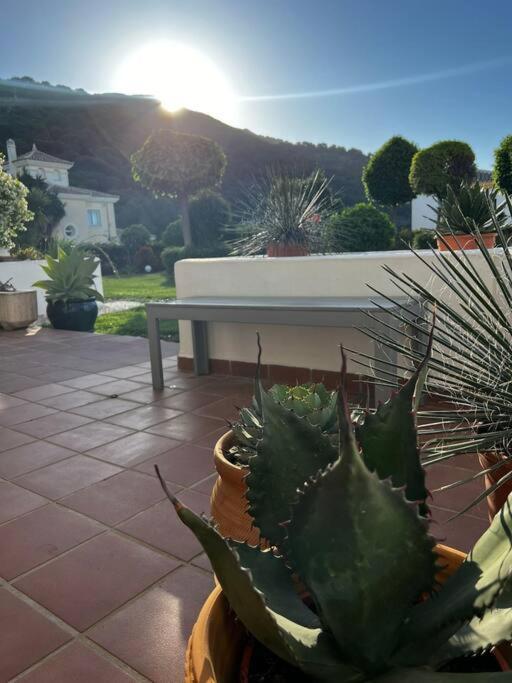 Ruim Appartement, Zonnig Terras, Alhaurin Golf! Alhaurín el Grande Exterior foto